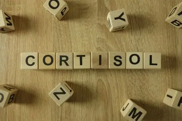 The Hidden Connection: How Stress Shapes Your Fitness and Body Composition 2 Image saying "Cortisol" and how stress Beccles impacts your wellbeing and bodies shape